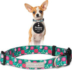 Lucky Love Dog - Adjustable Dog Collar with Easy Click Buckle for Small Dogs, Durable, & Comfortable for Male & Female Dogs, Pet Collar for Puppies & Adult Ones - Penny, XS