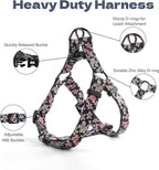 QQPETS Dog Harness Leash Set Adjustable Heavy Duty No Pull Halter Harnesses for Small Medium Large Breed Dogs Back Clip Anti-Twist Perfect for Walking