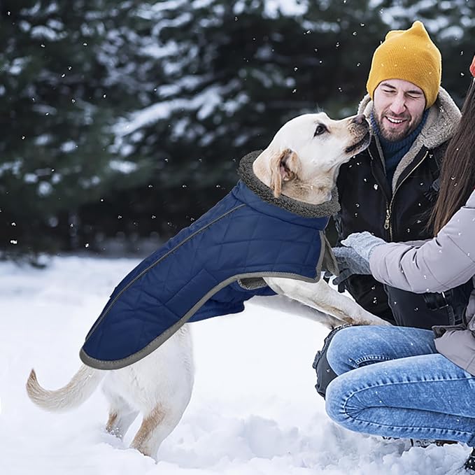 Fragralley Dog Coat Large, Waterproof Dog Jacket with Warm Fleece Lining, Adjustable Reflective Dogs Winter Coat, Turtleneck Pet Coats for Cold Weather (Blue XXXL)