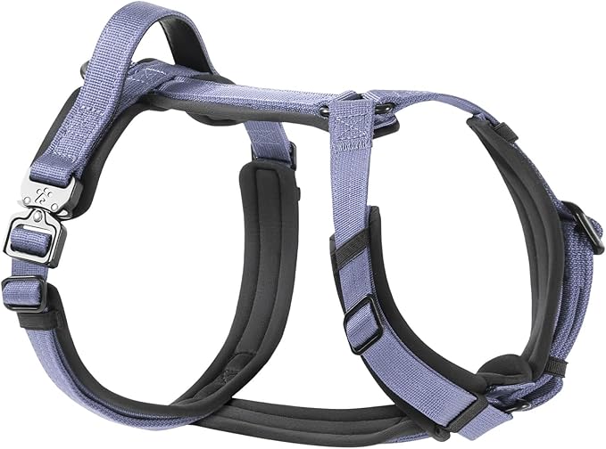 PawsPassion Dog Harness for Small Dogs, No Pull Dog Harness Easy Walk with Metal Hardware, Ergonomic Y-Shaped Design, Soft Padding, Padded Handle, Durable High-Tensile Nylon (Lilac Breeze, S)