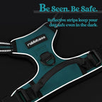 rabbitgoo Dog Harness No Pull with 2 Leash Clips, Adjustable Soft Padded, Reflective Oxford No Choke Pet Vest with Easy Control Handle for Medium Sized Dogs, Teal, M