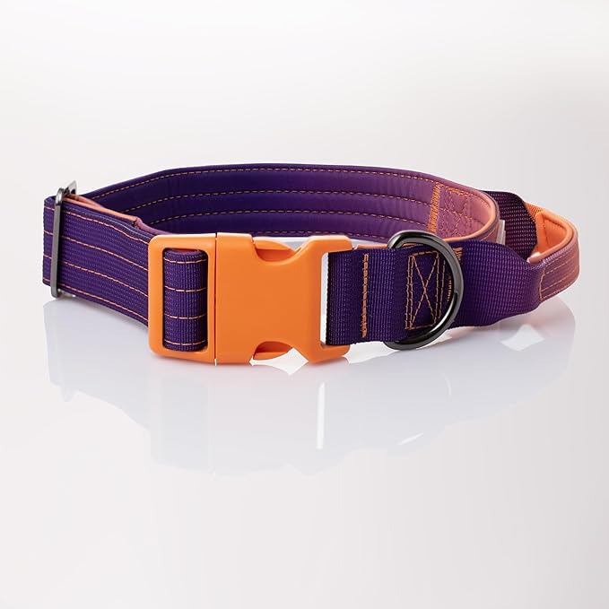 Tactical Dog Collar with Control Handle - Adjustable, Heavy Duty, Training and Walking for Medium and Large Breeds (Orange Violet, L: 18'' - 23'')