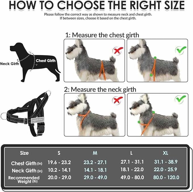 Lukovee No Pull Dog Harness & Leash Set - Heavy Duty Dog Vest Harness with Soft Padded for Medium Large Dogs, Adjustable Reflective Tactical Pet Harness for Easy Walk and Training (M, Black)