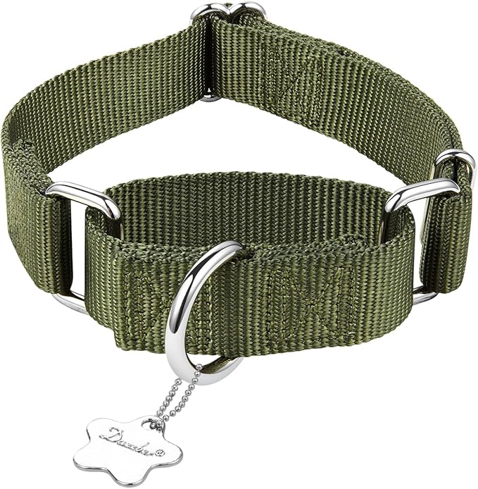 Martingale Dog Collar, Escape-Proof and No Slip Design, Heavy-Duty Nylon with Metal Buckle, Adjustable for Small, Medium & Large Dogs, Colorfast for Training, Daily Walks (Military Green,M)
