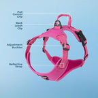 Voyager Dog Harness Dual Leash Attachment No-Pull Control Adjustable Soft but Strong Pet Harness for Medium and Large Dogs with 3M Reflective Technology, Fuchsia Nylon, XL (Chest: 28-37")