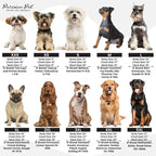 Parisian Pet Dog Shirt – 100% Cotton Shirts for Small Dogs - Sleeveless Yellow Puppy Vest with Paw Print – Breathable Pet Apparel – Pullover Summer Dog Clothes - Stretchy Funny T Shirts for Dogs