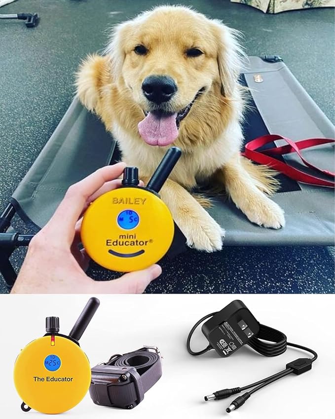 Training Collars Charger Compatible with Mini Educator Series 300, 400, RX, FOB and BP-504 Barkless Training Collars.