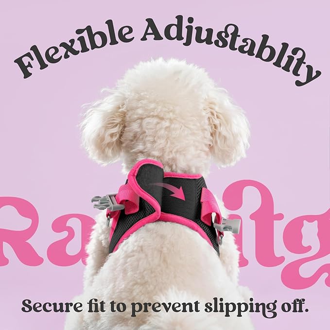 rabbitgoo Dog Harness Small Sized and Leash Set, Step-in Breathable Pet Harness, Soft Walking Reflective Puppy Vest for Small Dogs, Black & Rose Red, XS