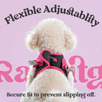 rabbitgoo Dog Harness Small Sized and Leash Set, Step-in Breathable Pet Harness, Soft Walking Reflective Puppy Vest for Small Dogs, Black & Rose Red, L