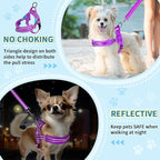 Lukovee No Pull Dog Harness and Leash Set, Soft Padded Small Dog Harness, Neck & Chest Adjustable Reflective Vest Puppy Harness with 4ft Lightweight Anti-Twist Dog Leash for Small Dogs (XS, Purple)