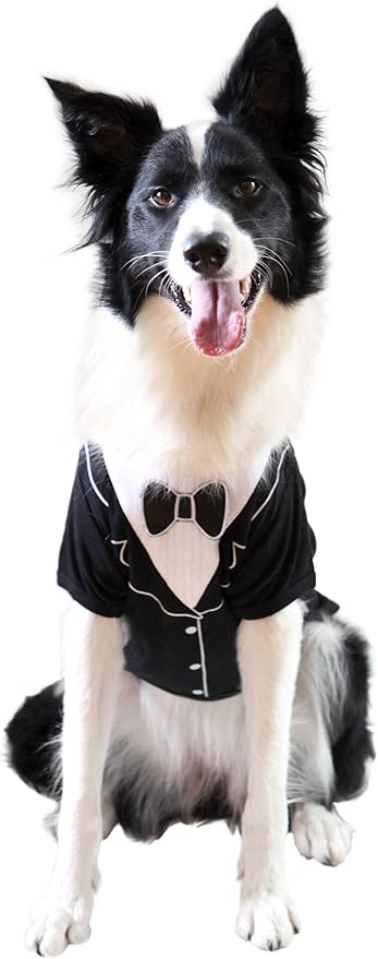 Frenchie Mini Couture Dog Tuxedo, (X-Small)