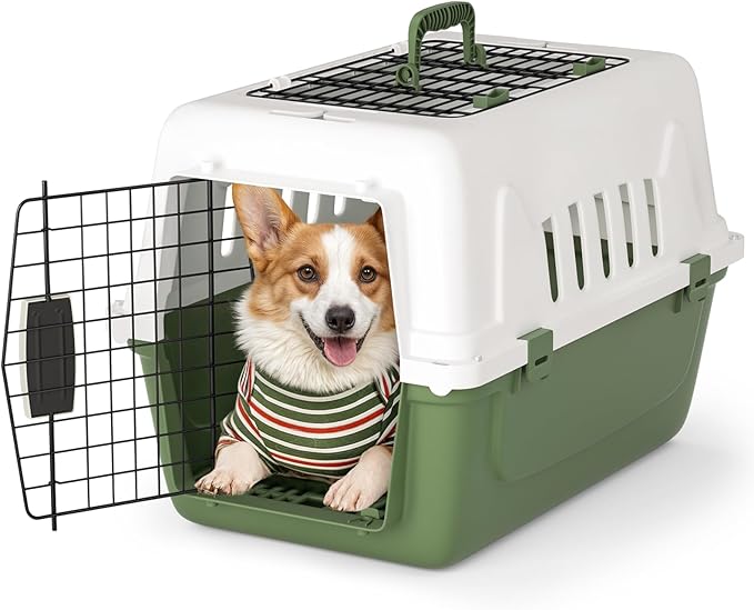 Magshion Pets Plastic Carrier, 22-Inch Hard-Sided 2-Door Top-Loading Kennel for Small Dogs and CatsLonger Traveling, Durable Handle, and 4 Sides Ventilation for Pet Up 22 lbs (White+Green)