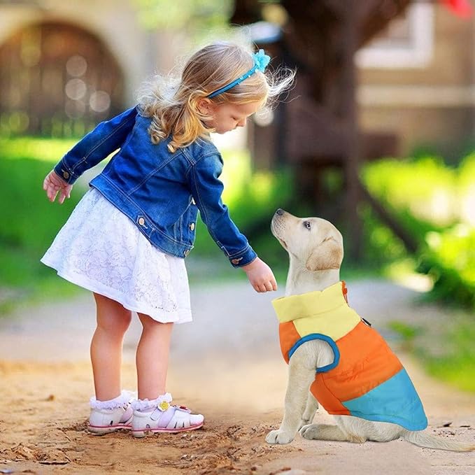 Idepet Pet Dog Cat Coat with Leash Anchor Color Patchwork Padded Puppy Vest Jacket Teddy Chihuahua Costumes Pug Cloth XS S M L(XX-Large,Sky Blue)