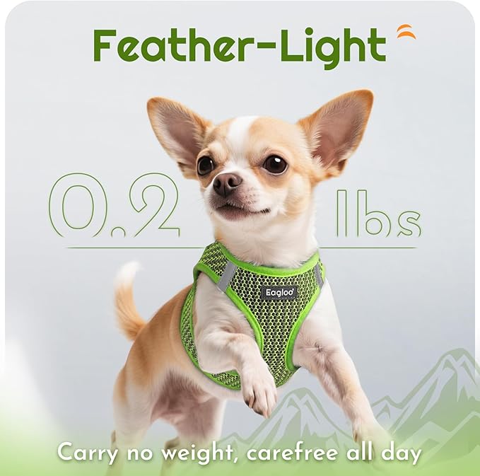 Eagloo Small Dog Harness and Leash Set, Step in Puppy Vest with Breathable Soft Mesh, Walking Reflective Pet Harness for Extra Small Dogs, Green, XXS