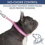 Spark Paws Martingale Dog Collar – Cushioned Slip-On Training Collar, Heavy Duty, Safety-Tested No-Buckle Collar for Medium & Large Dogs - Pink - C