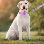 Dog Collar with Leash Airtag Holder Case Set - Dog Collars for Male Female Boy Girl Puppy X-Small Small Medium Large Dogs Walking Running Training - Purple Daisy/S