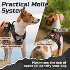 rabbitgoo Tactical Dog Harness for Small Dogs, No Pull Military Service Vest with Handle & Molle, Easy Control for Training Walking, Adjustable Reflective Straps, Black, S