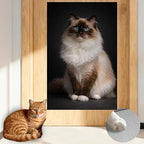 Nuxovilar Cat Wall Scratcher 15.3x23.6 Inches Polyester Synthetic Fiber, Long-Haired Blue-Eyed Cat Print, wall scratchers for Indoor Cats, Scratching mat, Home Decor, Bedroom, Reading Nook (2pcs)