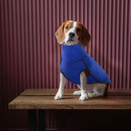 ROZKITCH Dog Winter Coat Soft Pullover Pajamas with Leash Hole, Pet Windproof Warm Cold Weather Jacket Vest Cozy Jumpsuit Apparel Outfit Clothes for Walking Hiking Travel Sleep Blue 4XL