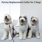PetJoy 3-Pack Dog Collar - Quick-Release Buckle & D-Rings - Reflective Multi-Color (R/Y/G) - Adjustable 8-27" for Most E-Collars - Durable Waterproof Nylon