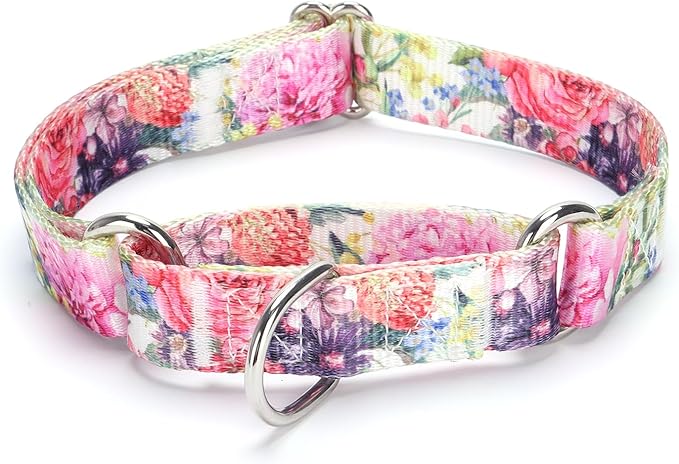 Martingale Dog Collars - Flower Multicolor Cute Patterns, Adjustable Nylon Training Dog Collar Suitable for Boy and Girl Dogs Medium Large Dogs (L, White1)