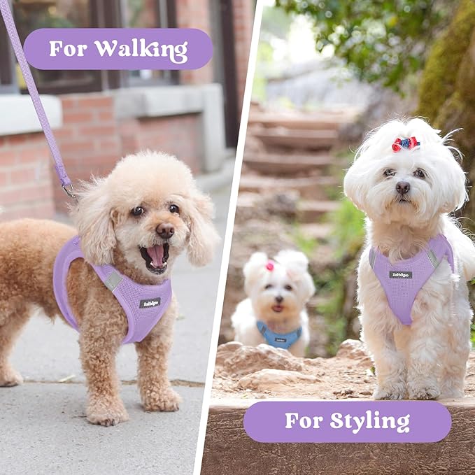 rabbitgoo Small Dog Harness, Step-in Soft Mesh Puppy Vest with Safety Buckle, Breathable Reflective Pet Harness for Small Medium Dogs, Light Purple XL