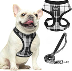 PUPTECK Soft Mesh Dog Harness and Leash Set Pet Puppy Cat Comfort Padded Vest No Pull Harnesses, Black&White, S