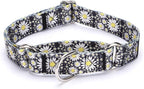 Martingale Dog Collars - Flower Multicolor Cute Patterns, Adjustable Nylon Training Dog Collar Suitable for Boy and Girl Dogs Medium Large Dogs (L, Yellow)