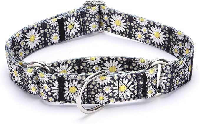 Martingale Dog Collars - Flower Multicolor Cute Patterns, Adjustable Nylon Training Dog Collar Suitable for Boy and Girl Dogs Medium Large Dogs (M, Yellow)