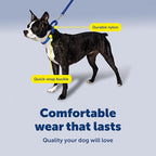 PetSafe Martingale Collar with Quick Snap Buckle - Adjustable No-Slip Design for Better Leash Control - Durable Nylon Material - Humane Gentle Correction for Safer Training - Small - Red