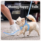 rabbitgoo Dog Harness Small Sized and Leash Set, Step in Soft Light Puppy Vest, Breathable Mesh Pet Harness, Reflective for Safe Easy Walking, Blue & Plaid Trim S