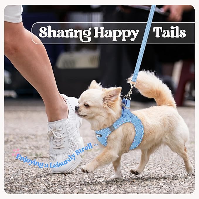 rabbitgoo Dog Harness Small Sized and Leash Set, Step in Soft Light Puppy Vest, Breathable Mesh Pet Harness, Reflective for Safe Easy Walking, Blue & Plaid Trim S