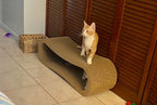 Simple Delxue 3 in 1 Large Cardboard Cat Scratcher Lounger Cat, 33.5"x10.2"x10.2" Cat Scratching Board, 100% Recyclable & Reversible Horizontal Scratching Pads, Infinity Shape, X-Large