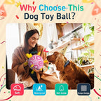 QDAN Dog Birthday Toys, Squeaky Dogs Toys, Dog Soccer Ball with Straps, Puppy Gifts, Herding Balls with Bell Inside, Water Toy, Durable Ropes Ball for Medium Large Dogs (8 inch)