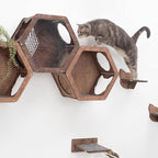 Wall Cat Shelves Wood Shelves Furniture - Wooden Shelf Wall Mounted Furniture - Indoor Cats Rustic Decor Lover Gift (Cat Wall Bed)