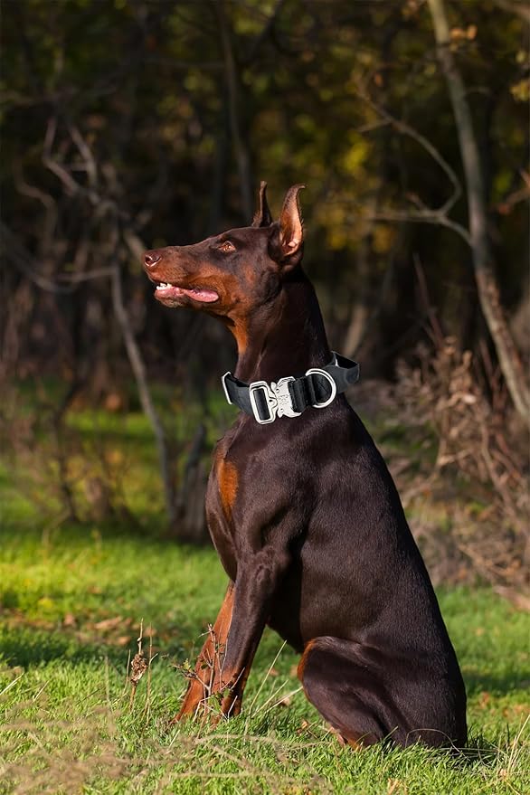 Tactical Dog Collar, 1.5" Wide Thick Heavy Duty Dog Collar with Handle, Soft Neoprene Padded Military-Grade Nylon Training Collar with Quick Release Metal Buckle for Large Dogs(Black, L,XL)