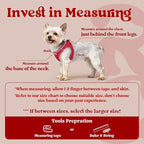 rabbitgoo Small Dog Harness, Step-in Soft Mesh Puppy Vest with Safety Buckle, Breathable Reflective Pet Harness for Small Medium Dogs, Red L
