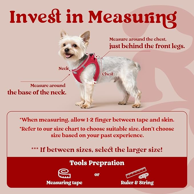 rabbitgoo Small Dog Harness, Step-in Soft Mesh Puppy Vest with Safety Buckle, Breathable Reflective Pet Harness for Extra Small Dogs, Red XXXS