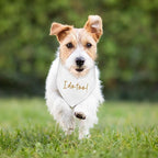 Dog Wedding Engagement Bandana Apparel & Accessories Pet Bandana Scarf Photo Prop I Do Too! Wedding Outfit Funny Engagement Party Decorations Gifts
