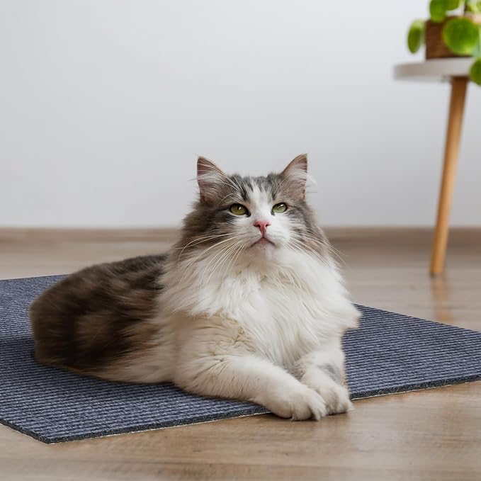 Cat Scratching Mat 39.3"x15.7" Trimmable Self-Adhesive Carpet DIY Climbing Cat Scratcher for Replacement Pads Covering Posts Furniture Protection