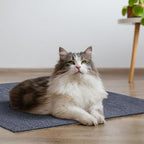 Cat Scratching Mat 39.3"x15.7" Trimmable Self-Adhesive Carpet DIY Climbing Cat Scratcher for Replacement Pads Covering Posts Furniture Protection