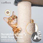 CAPHAUS Tall Cat Tree for Indoor Cats, Modern Cute 70-Inch Climbing Play Tower with Top Perch Large Cats Kittens, Multi-Level Activity w Scratching Posts, Hammock, Cave Condo, Smoky Grey