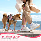 Service Dog Vest Harness and Leash Set, Animire in Training Dog Harness with 10 Dog Patches, Reflective Dog Leash with Soft Padded Handle for Small, Medium, Large, and Extra-Large Dogs (Rosy,L)