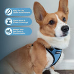 Voyager Step-in Pet Harness - All Weather Mesh, Adjustable Step in Harness for Cats and Dogs by Best Pet Supplies - Baby Blue/Black Trim, XL