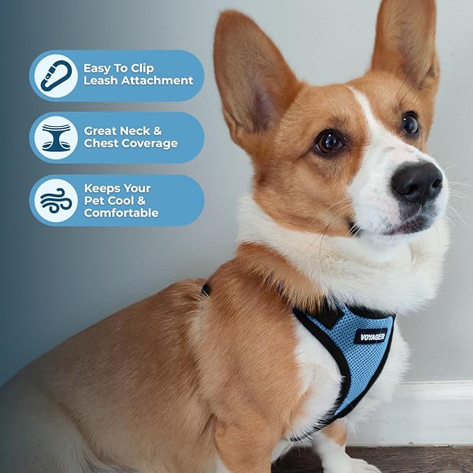 Voyager Step-in Pet Harness - All Weather Mesh, Adjustable Step in Harness for Cats and Dogs by Best Pet Supplies - Baby Blue/Black Trim, XL
