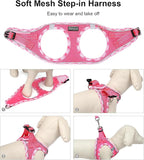 Mercano Soft Mesh Dog Harness and Leash Set, No-Chock Step-in Reflective Breathable Lightweight Easy Walk Vest Harnesses with Safety Buckle for Small Dogs, Cats (S, Fuchsia)