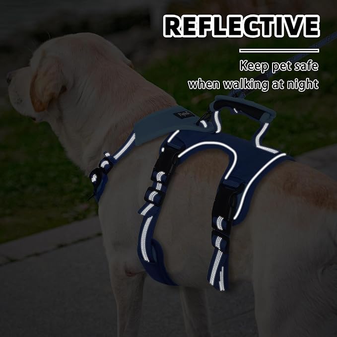 PUPTECK Escape Proof Dog Harness and Leash Set Upgraded No Pull Reflective Dog Vest with Lift Handle, Easy Control Pet Harness for Medium Large Dogs Training Walking Running, Blue, XL