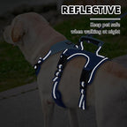 PUPTECK Escape Proof Dog Harness and Leash Set Upgraded No Pull Reflective Dog Vest with Lift Handle, Easy Control Pet Harness for Medium Large Dogs Training Walking Running, Blue, XL