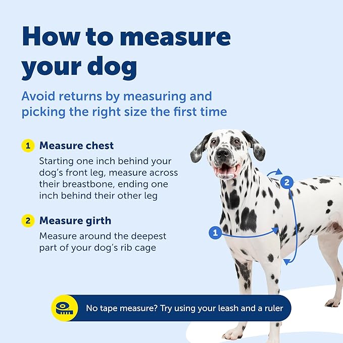 PetSafe Easy Walk Harness for Dogs - Pull-Free Walks - Patented Martingale Loop Design - Front Chest Leash Attachment - Adjustable Comfort Straps - Breathable Harness Design - Large, Black/Silver