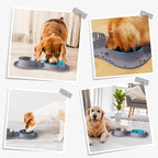 MateeyLife Dog Food and Water Bowl Set 3 in 1, Slow Feeder Dog Bowls & Stainless Steel Water Bowl with Non-Spill Silicone Mat, Cat and Puppy Bowls Pet Dishes for Small Medium Large Breed Anti-Choking